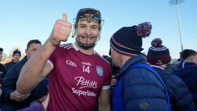 Ballyhale survive scare to reach Leinster decider as St Martin's cruise into final