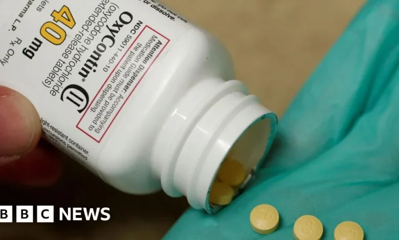 Bankruptcy judge green lights $7.4bn Purdue Pharma settlement