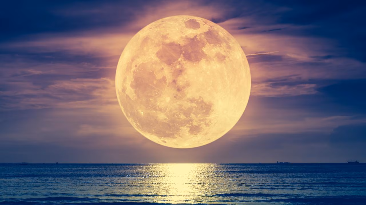 Beaver moon, celestial showers to grace November skies