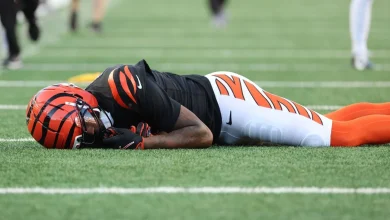 Bengals' Higgins concussed after hard fall to turf