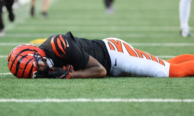 Bengals' Higgins concussed after hard fall to turf