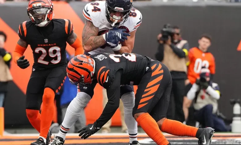 Bengals get “F” grade in midseason report card