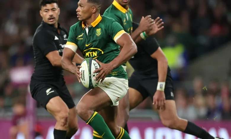 'Best suited': Springboks makes sweeping changes for Italy clash, hosts make one change