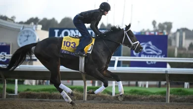 Betting the Breeders' Cup Classic: Field wide open after Sovereignty is scratched