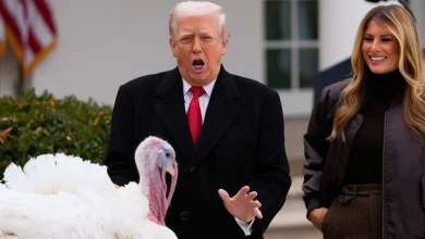 'Big, fat slob': Feathers fly as Trump pardons Thanksgiving turkeys