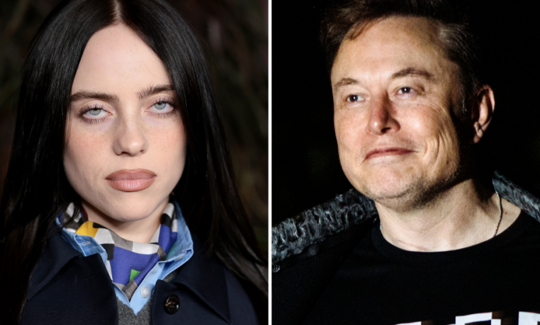 Billie Eilish Slams Elon Musk for Hoarding Money as Trillionaire