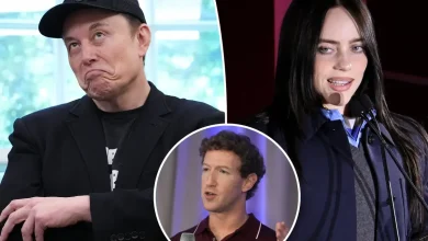 Billie Eilish blasts ‘pathetic’ Elon Musk in expletive-laced message after calling out billionaire Mark Zuckerberg
