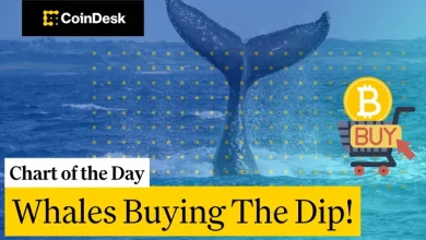 Bitcoin Whales Are Accumulating BTC at Multi-Month Lows