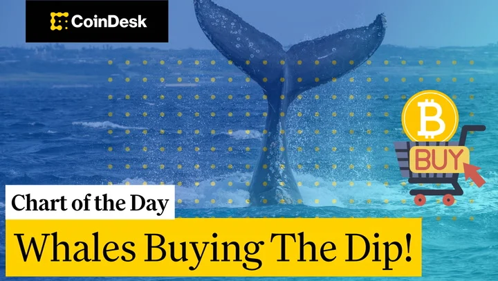 Bitcoin Whales Are Accumulating BTC at Multi-Month Lows