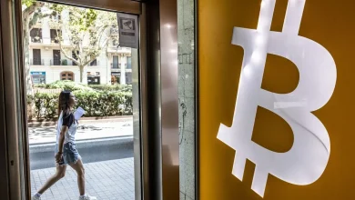 Bitcoin and Almost Everything Else Looks Risky