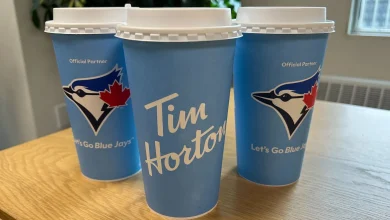 Blue Jays backers are basking in the World Series glow but how long will it last?