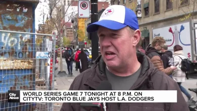 Blue Jays fans in Montreal confident they’ll win the world series