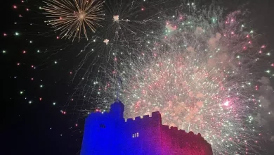 Bonfire Night fireworks happening this week near you in Cardiff