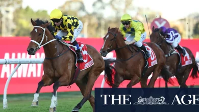 Bookmaker fears Autumn Glow’s ‘Winx feel’ could bring $1m loss