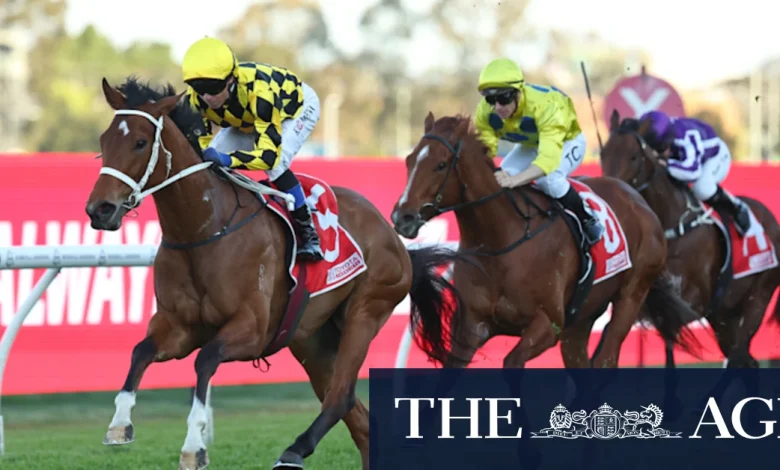 Bookmaker fears Autumn Glow’s ‘Winx feel’ could bring $1m loss