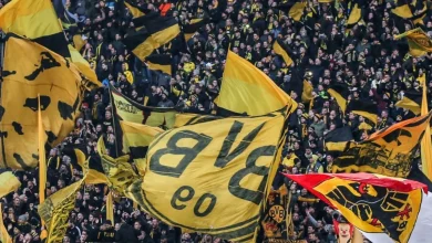 Borussia Dortmund: Ergebnisse in der Bundesliga und News im Überblick