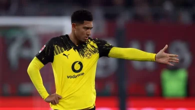 Borussia Dortmund head coach says Jobe Bellingham is progressing ‘faster than expected’