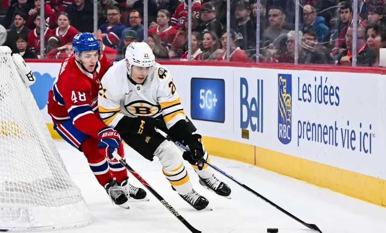 Boston Bruins News: Contract terminated, Olympic dreams, lineup flexibility