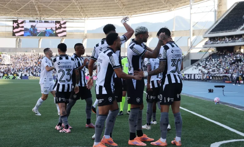 Botafogo vs Sport Prediction and Betting Tips | November 18th 2025