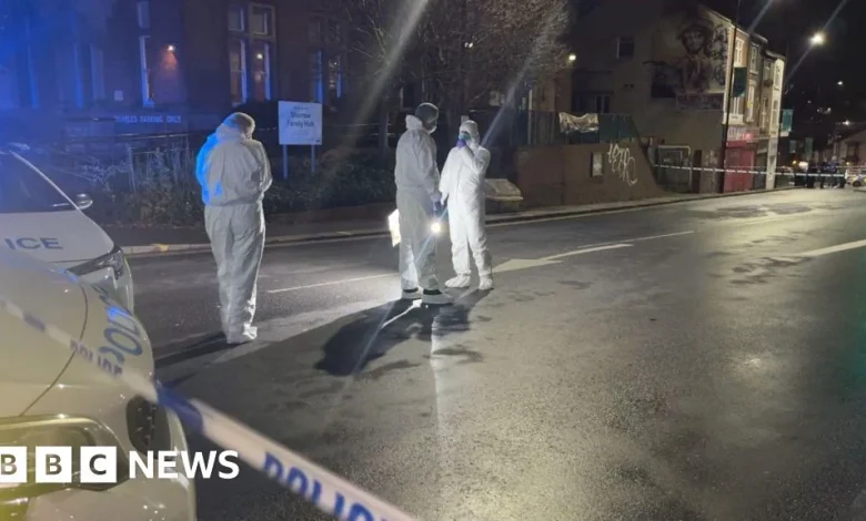 Boy, 16, 'fighting for his life' after shooting in Sheffield