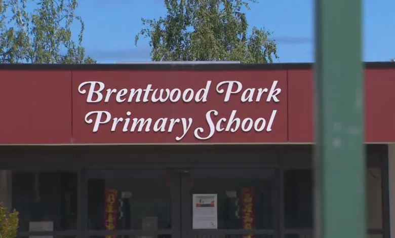 Boy stabbed at primary school in Melbourne's south-east