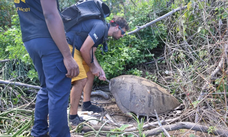 Braconnage en recul mais difficultés post-Chido, Oulanga Na Nyamba et son savoir-faire menacés