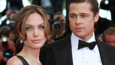 Brad Pitt Sues Ex-Wife Angelina Jolie Over French Winery Sale
