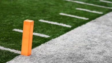 Brawl at Georgia high school football playoff game leads to 39 suspensions, $5,000 fine