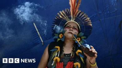 Brazil creates new Indigenous territories during protest-hit COP30