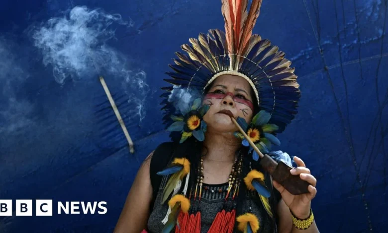 Brazil creates new Indigenous territories during protest-hit COP30