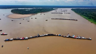 Brazil dismantles hundreds of illegal dredges in major Amazon mining crackdown