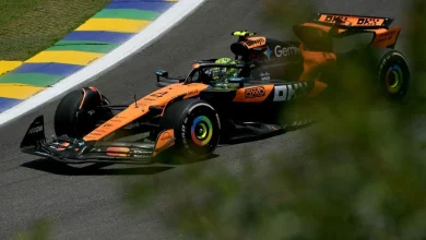 Brazilian GP: Lando Norris fastest in practice