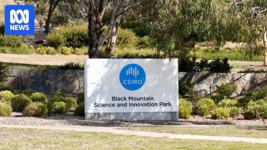 Breaking: CSIRO to cut up to 350 research jobs in major overhaul