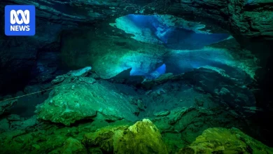 Breaking: Diver unaccounted for at Tank Cave