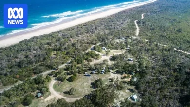Breaking: Woman killed in shark attack on NSW Mid North Coast