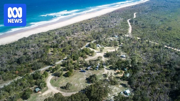 Breaking: Woman killed in shark attack on NSW Mid North Coast