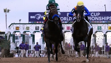 Breeders' Cup results 2025: Saturday's winners, prize payouts, schedule