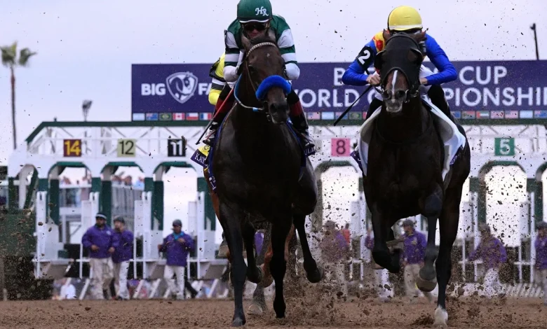 Breeders' Cup results 2025: Saturday's winners, prize payouts, schedule