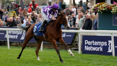 Breeders' Cup tips: Best bets from the Weekend Winners team for Del Mar on Saturday live on Sky Sports Racing