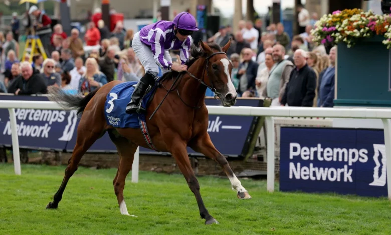 Breeders' Cup tips: Best bets from the Weekend Winners team for Del Mar on Saturday live on Sky Sports Racing