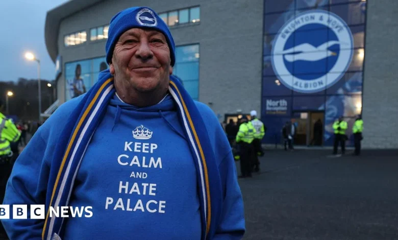 Brighton & Hove Albion v Crystal Palace rivalry 'among biggest'