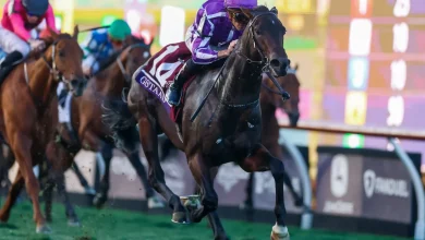 Brilliant Gstaad gives Aidan O'Brien record 21st Breeders' Cup winner