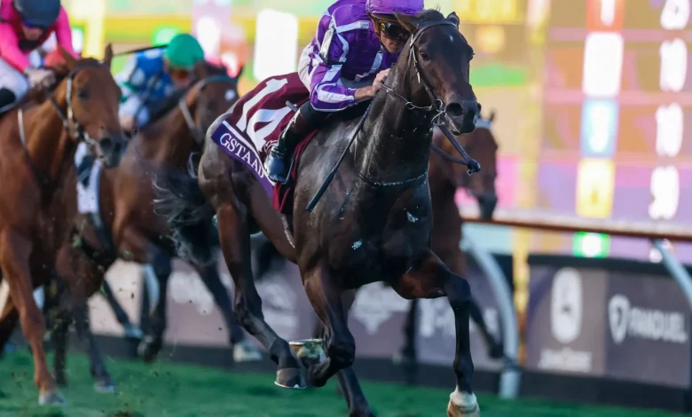 Brilliant Gstaad gives Aidan O'Brien record 21st Breeders' Cup winner