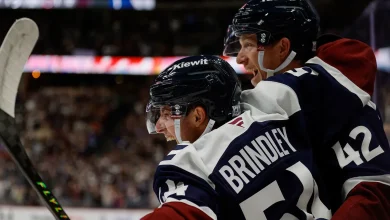 Brindley Acquisition Proving a Win for the Avalanche