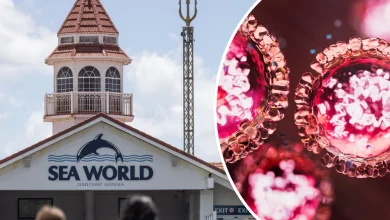 Brisbane and Gold Coast residents warned after measles cases detected at concert, tourist attractions