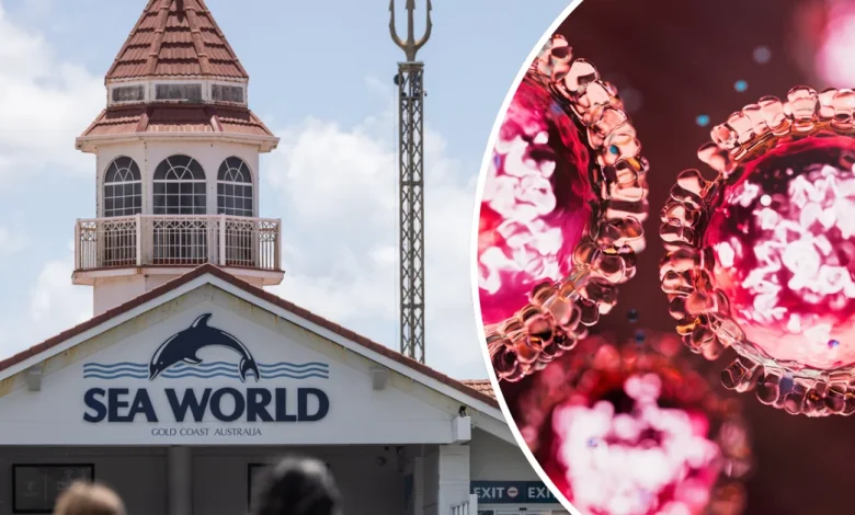 Brisbane and Gold Coast residents warned after measles cases detected at concert, tourist attractions