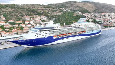British passenger missing after falling from cruise ship off coast of Tenerife