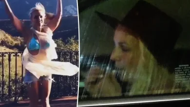 Britney Spears deletes Instagram account after terrifying family with erratic behavior