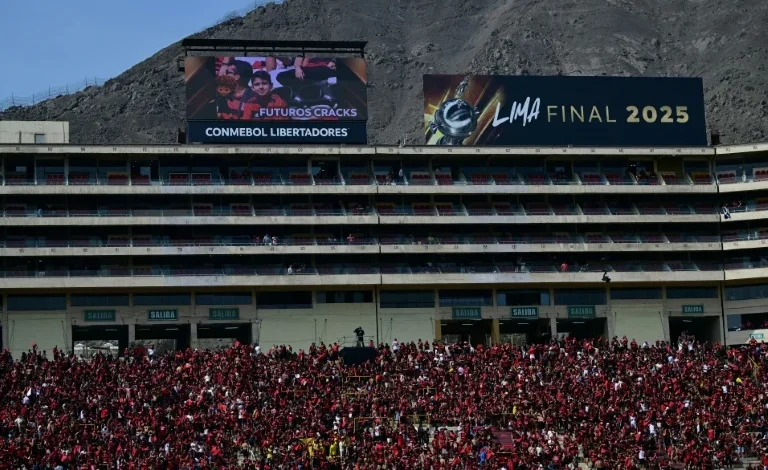 Bruno Henrique Y Danilo Titulares En Flamengo Y Carlos Miguel Ataja En Palmeiras
