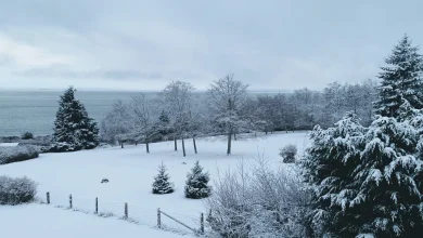 Bundle up, B.C. : Province calls for winter prep as cold moves in